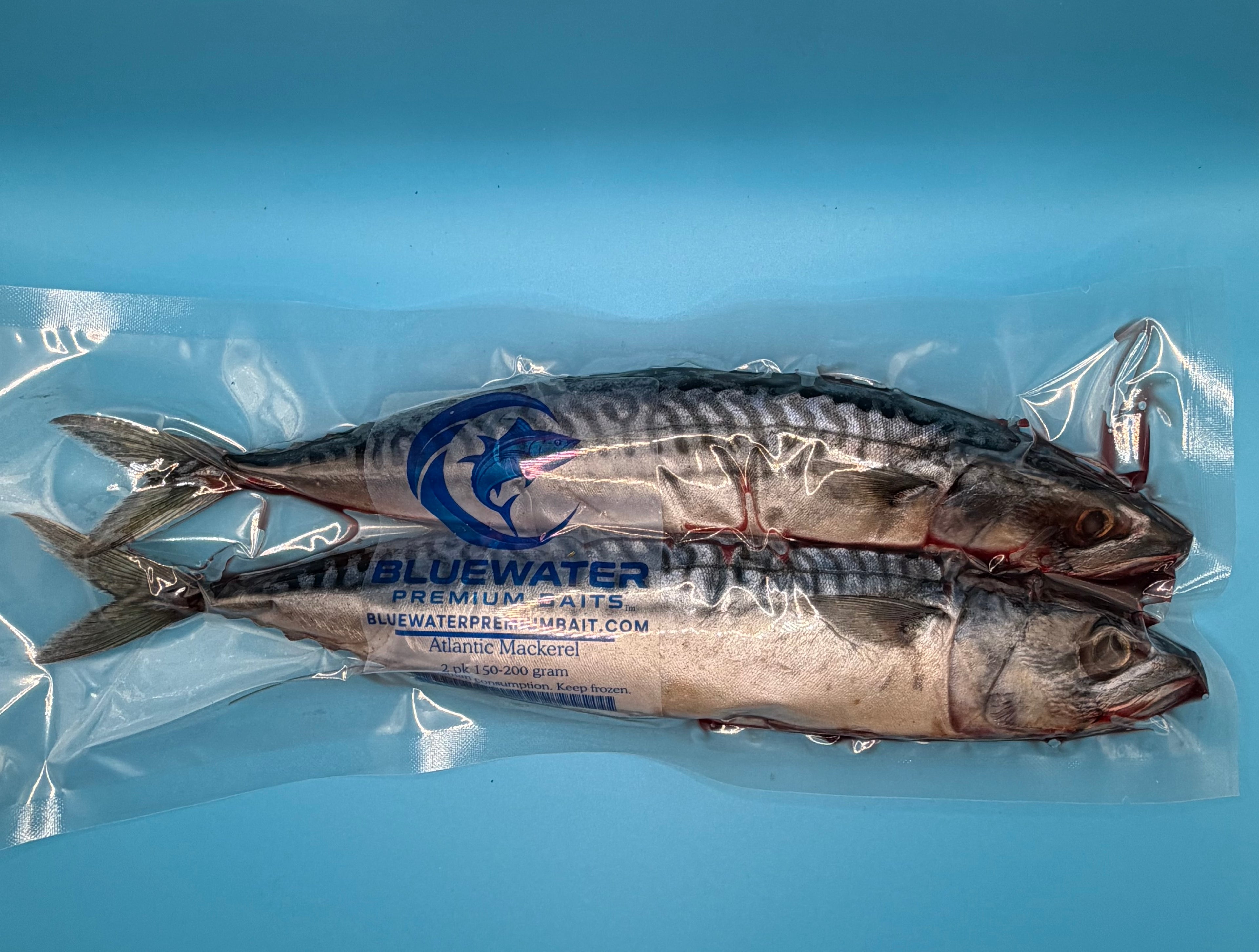 Mackerel Case-2 Pack Vacuum Sealed Bags 10 packs per case (Bluewater Premium Baits Brand)