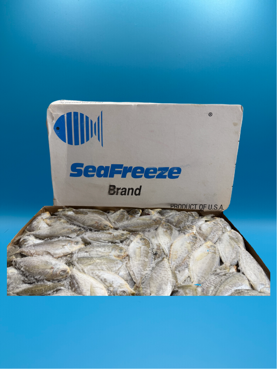 Butterfish (SeaFreeze Brand) 22lb Flat